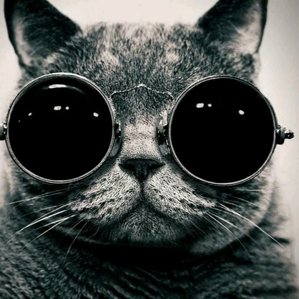 Meet your Posher, Bev